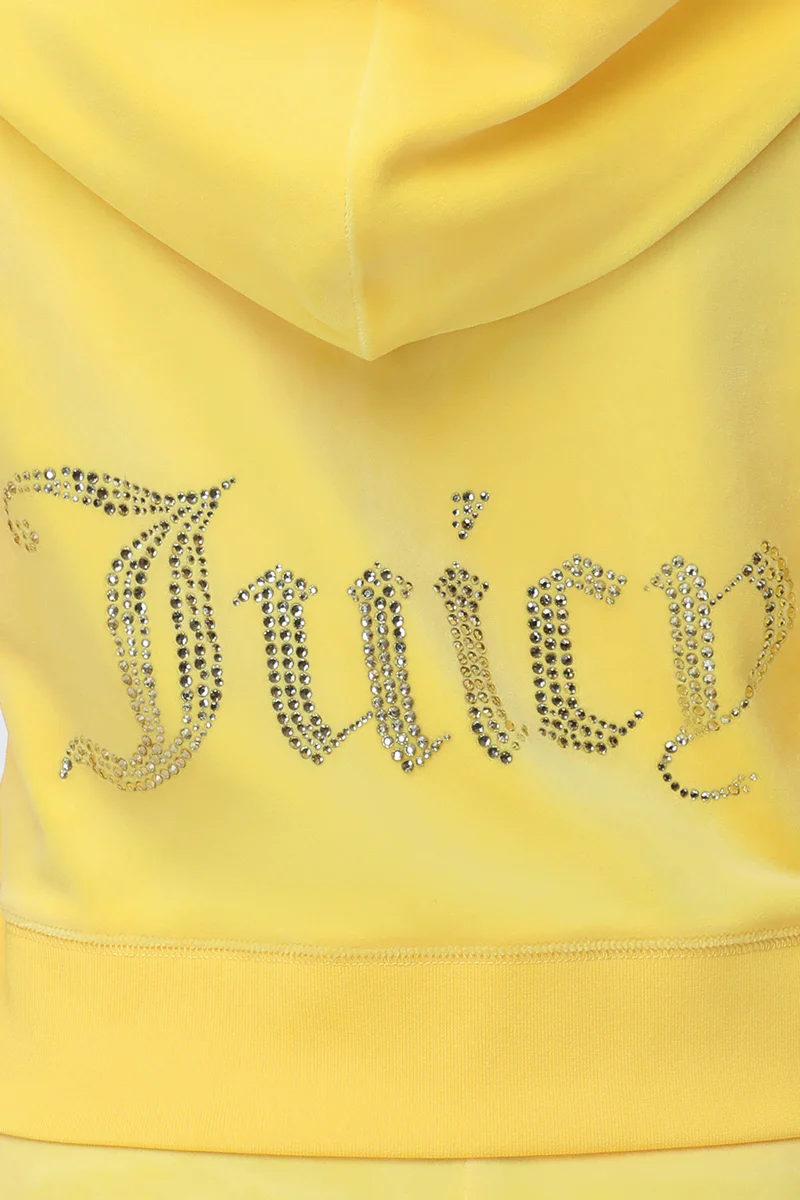 OG Big Bling Velour Hoodie - Image 5
